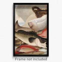 John W. Lewin - Fish catch and Dawes Point, Sydney Harbour