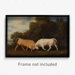 George Stubbs - Bulls Fighting