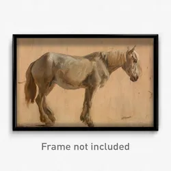 Jacques-Laurent Agasse - Study of a Grey Horse