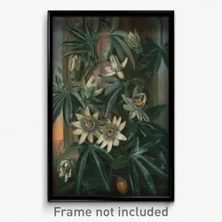 Philip Reinagle - Blue Passion Flower, for the "Temple of Flora" by Robert Thornton
