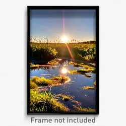 Pixel Art Poster - Sunny Marsh (8 Bit Psychedelic Trippy Weird Video Game Print)