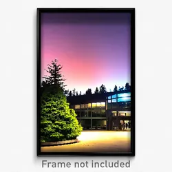 Pixel Art Poster - Evergreen College (8 Bit Psychedelic Trippy Video Game Print)