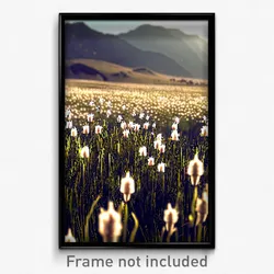 Pixel Art Poster - Colorless Meadow (8 Bit Psychedelic Trippy Video Game Print)