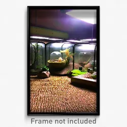 Pixel Art Poster - Dry Terrarium (8 Bit Psychedelic Trippy Video Game Print)