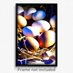Pixel Art Poster - Dry Eggs (8 Bit Psychedelic Trippy Weird Video Game Print)