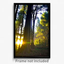 Pixel Art Poster - Neglected Woods (8 Bit Psychedelic Trippy Video Game Print)