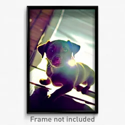 Pixel Art Poster - Sunny Puppy (8 Bit Psychedelic Trippy Weird Video Game Print)