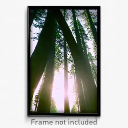 Pixel Art Poster - Accurate Copse (8 Bit Psychedelic Trippy Video Game Print)
