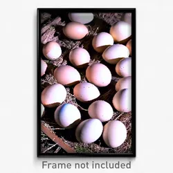 Pixel Art Poster - Normal Eggs (8 Bit Psychedelic Trippy Weird Video Game Print)
