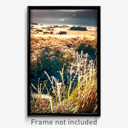 Pixel Art Poster - Dry Meadow (8 Bit Psychedelic Trippy Weird Video Game Print)