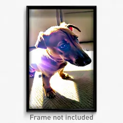 Pixel Art Poster - Natural Puppy (8 Bit Psychedelic Trippy Video Game Print)